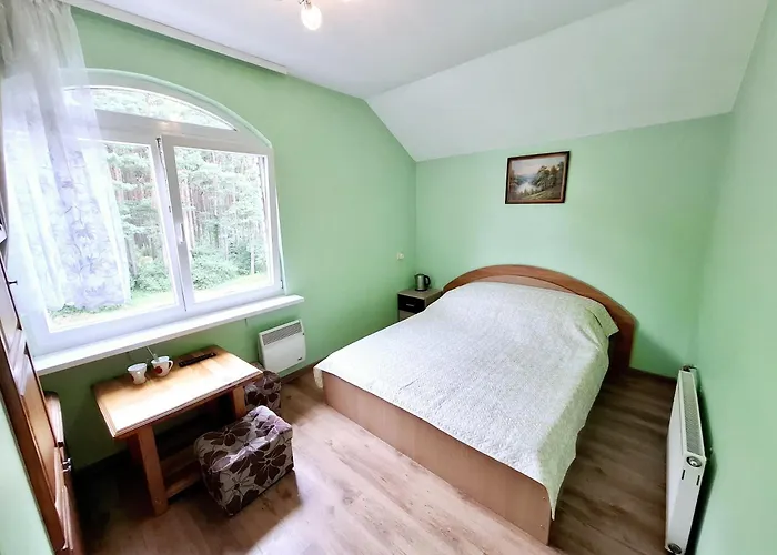 Neringa פלאנגה